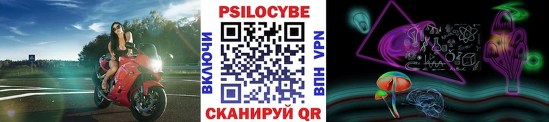 закладки  Кинель  Галлюциногенные грибы мицелий 